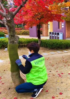 홍천군자원봉사센터와 초록발자국, 겨울나무 옷 입히기 진행