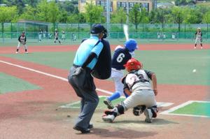 동해시 전국 중학교 야구대회 개최
